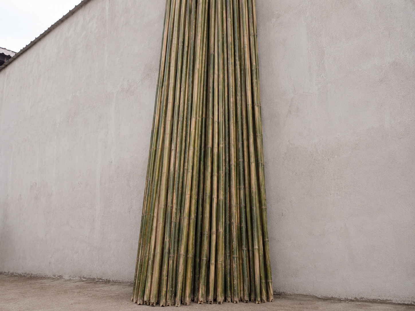 Bamboo Poles